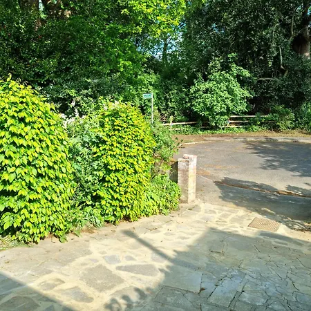 Peaceful Place, Free Parking & Private Entrance-3